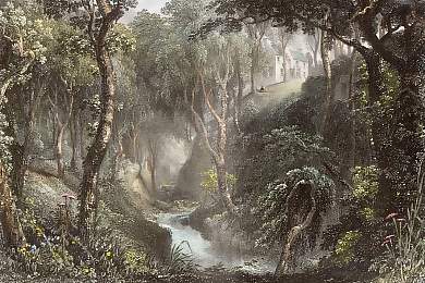 Craigieburn Wood, Moffatdale