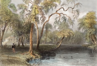 View from Glenmary Lawn, on the Owago