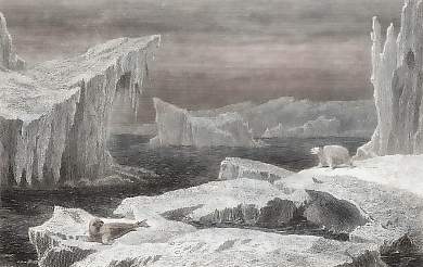 Paysages Des Mers Glaciales