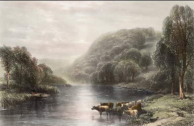 On the Dart, Near Totnes