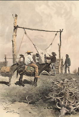 Un Abattoir Au Texas