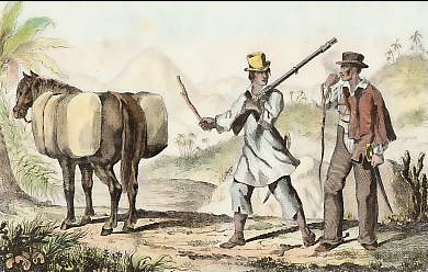 Voiturier De Coton et Sertanejo