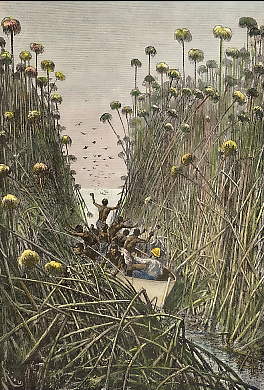 Le Voyageur V. Giraud Dans Les Roselières Du Bangouéolo