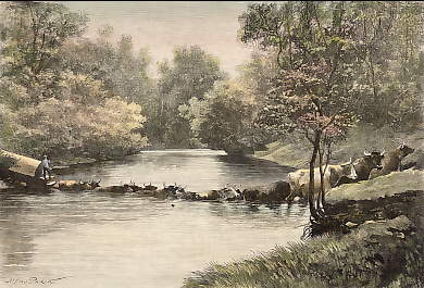 Vue Prise Sur Les Bords Du Limpopo ; Le Gué De Malikoé-Marico, Dans Le Transvaal