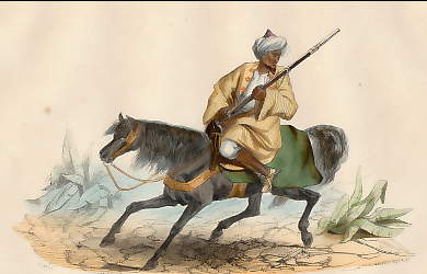 Cavalier Marocain