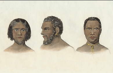 Portraits De Trois Naturels