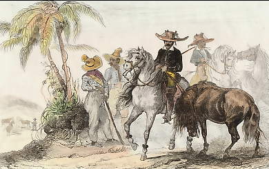 Maquignons Paulistes