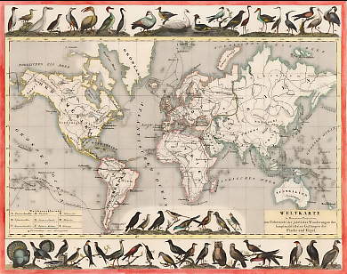 Weltkarte, Wanderungen Der Fische Und Vögel