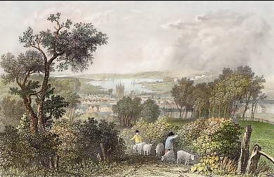 Newport from the South