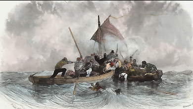 La Rencontre Des Pirates 