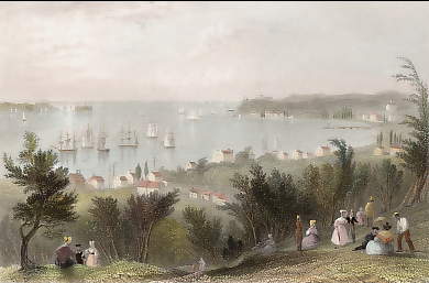 The Narrows from Staten Island 