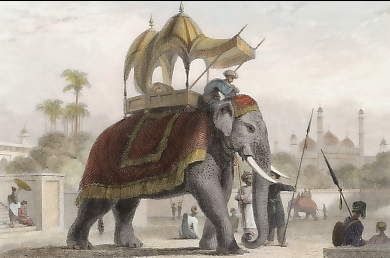 L´Éléphant Carapaconné