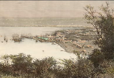Port-Natal et Durban, Vue Générale Prise Du Bluff