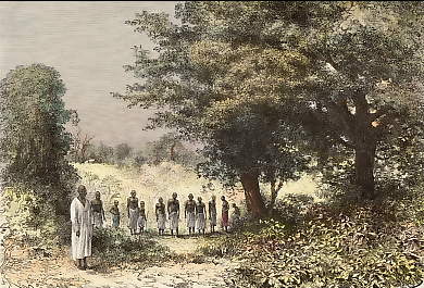 Paysage De La Lou-Djenda