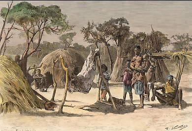 Campement De Bushmen