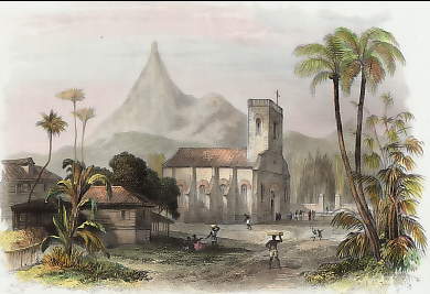 Les Pamplemousses, Ile De France 