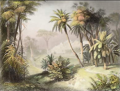 Tropische Landschaft