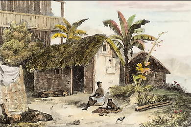 Habitation De Nègres