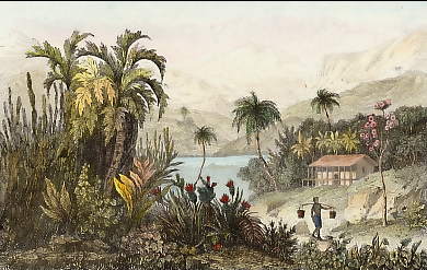 Ile De Ste. Catherine