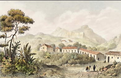 Nouveau Fribourg, Colonie Suisse