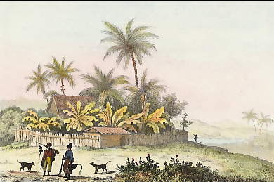 Maison D´un Planteur Brésilien