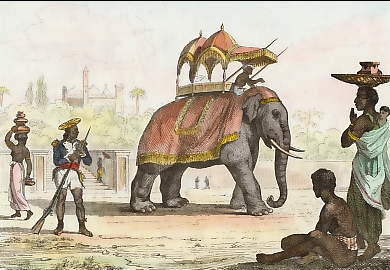 Inde Française, Costumes: Cypaie, Éléphant Caparaçonné, Indiens 