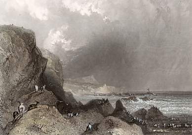 Wreck Near Black-Gang Chine, Isle of Wight