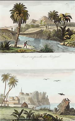Pont Suspendu Au Sénégal ; Fort De Gorée 