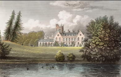 Melbury, Dorsetshire 