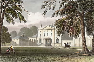 Norbury Park, Surrey 