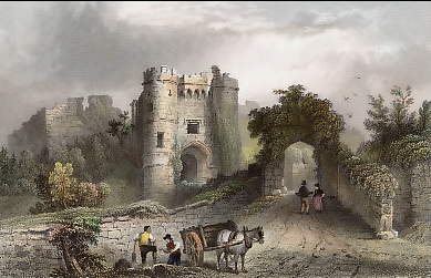 Carisbrook Castle 