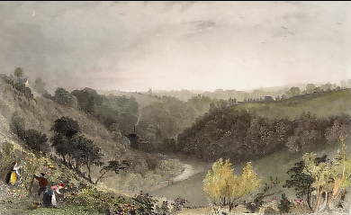 Jesmond Dean, Near Newcastle, Northumberland 