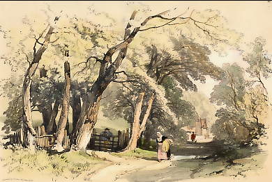 Near Burford Bridge, Surrey 