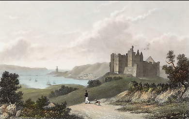 Oystermouth Castle & Harbour 