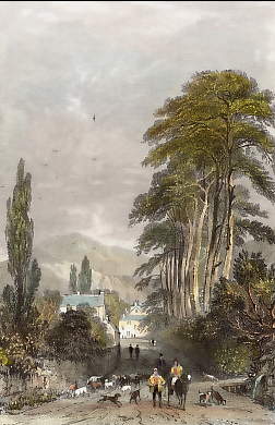 Approach to  Ambleside, Westmorland