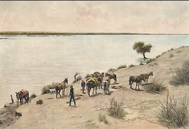 Vue Prise Sur Les Bords Du Rio Neuquen