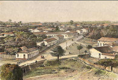 Manaos, Vue Prise Dans Les Faubourgs