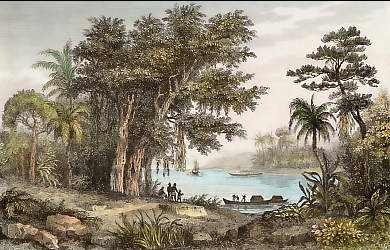 Lac Sur Les Bords De L´Amazone