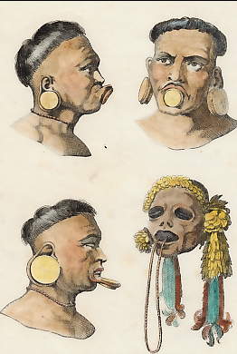 Têtes De Botocoudos