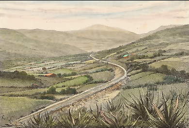 Plantations De Maguey, Vue Prise De San Francisquito, Près De Mexico