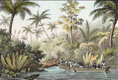 Navigation Sur Le Rio Doce