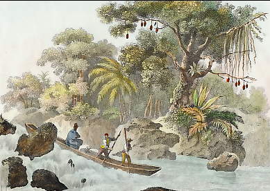 Navigation Du Rio Dos Tlhéos 