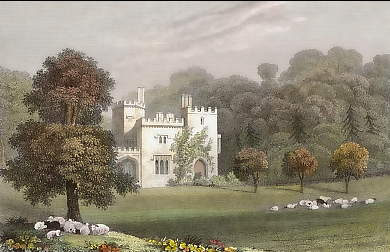 Luscombe, Devonshire