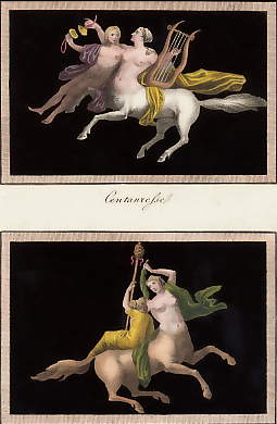 Centauresse
