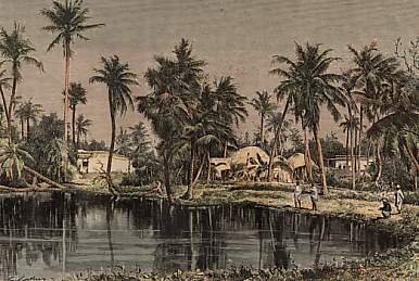 Paysage Du Bengale, Vue Prise Près De Calcutta