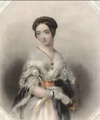 America, La Rosa Del Norte (The Duchess of Wellington) 