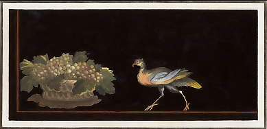 Bird with Grapes