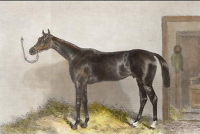 Tim Whiffler, Winner of the Chester, Goodwood and Doncaster Cups, 1862
