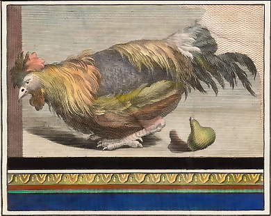 Cock with a Fig