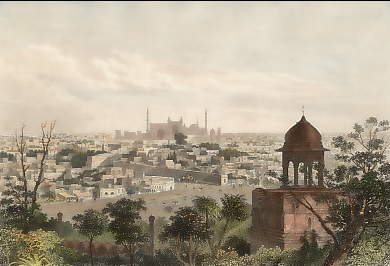 View of Delhi, from the Palace Gate